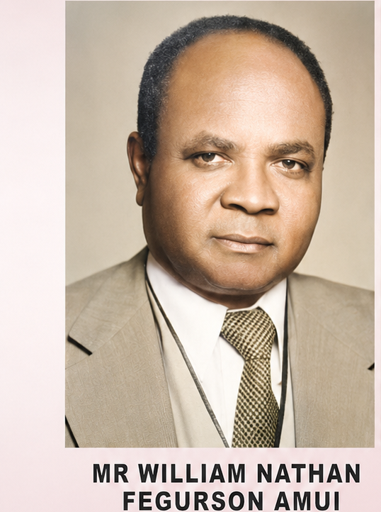 Mr. William Nathan Ferguson Amui